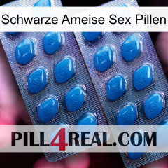 Black Ant Sex Pills viagra2